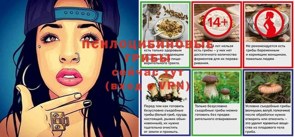 винт Алексин