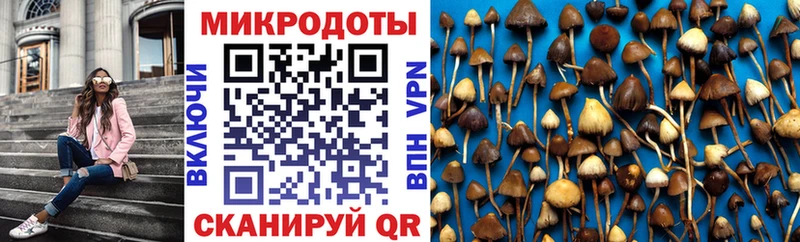 купить закладку  Ипатово  blacksprut рабочий сайт  Галлюциногенные грибы мухоморы 